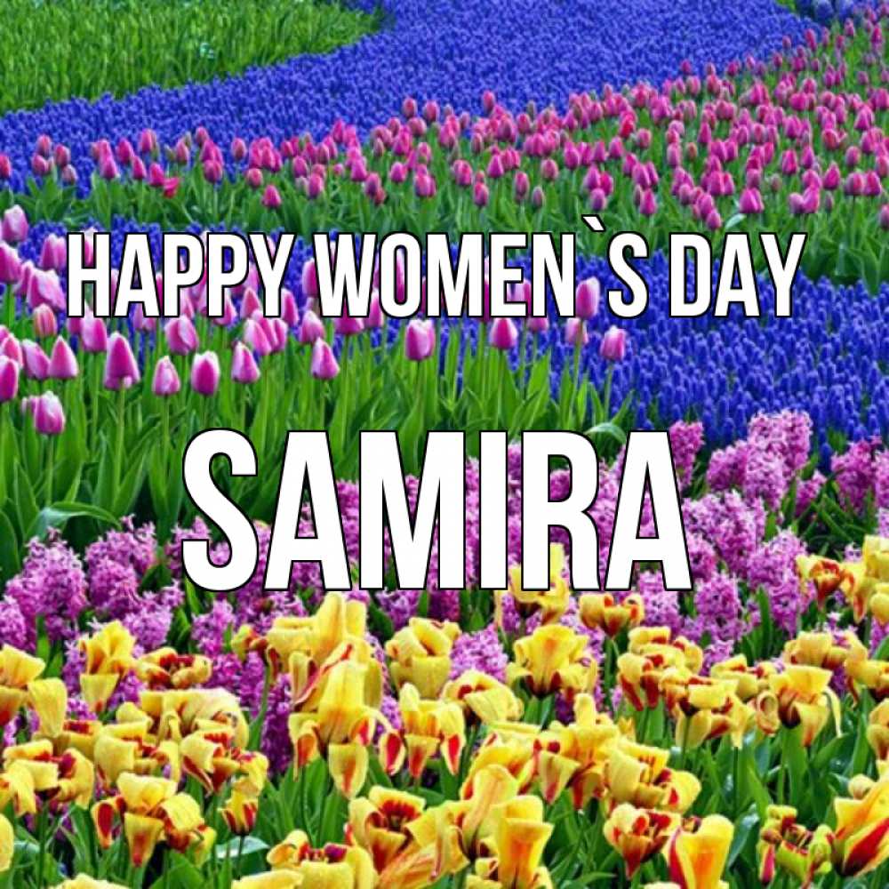 Greetings card с именем, Samira happy women`s day цветы Greetings with text for free download 